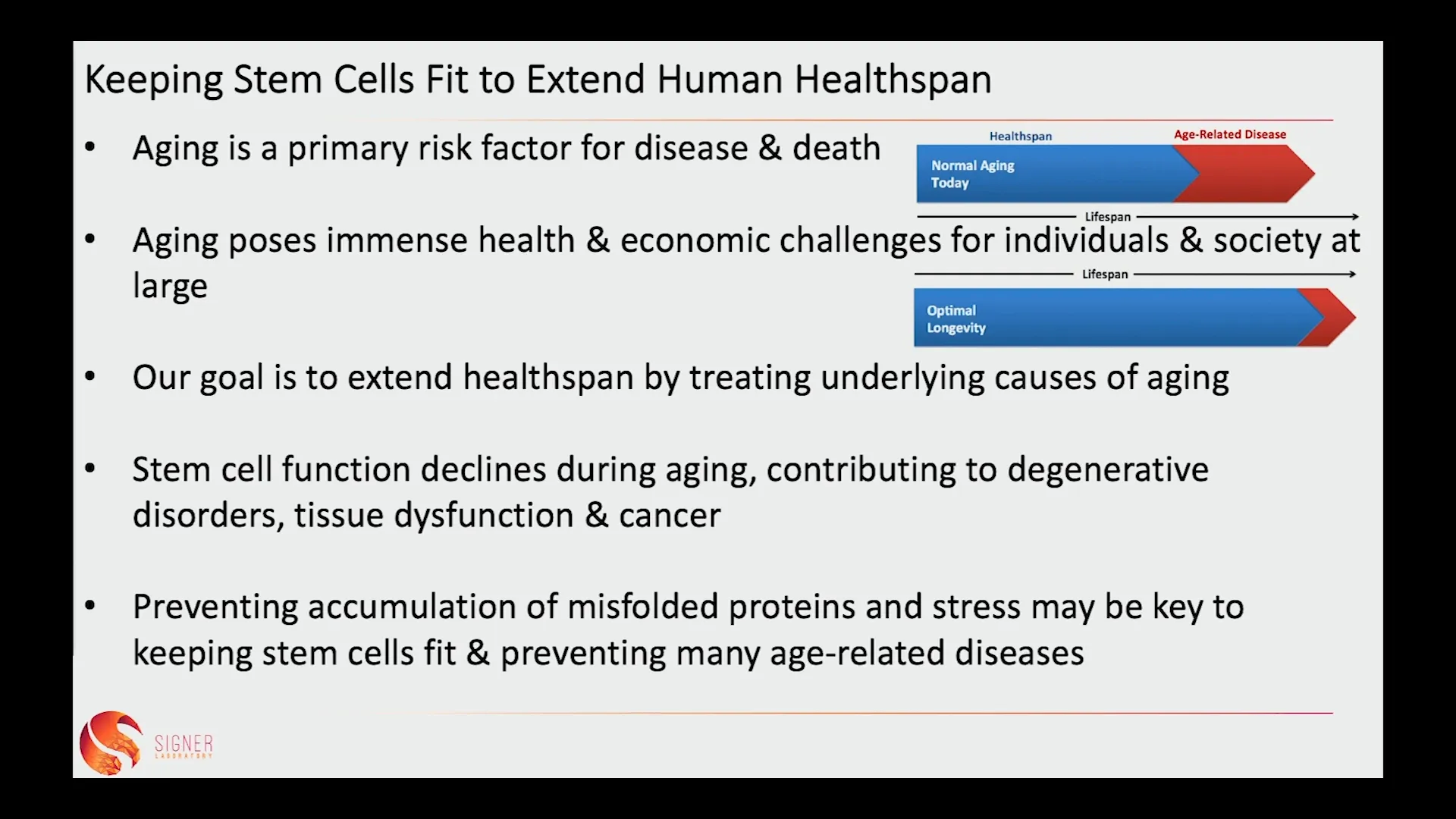 Illustration depicting potential interventions for reversing stem cell aging