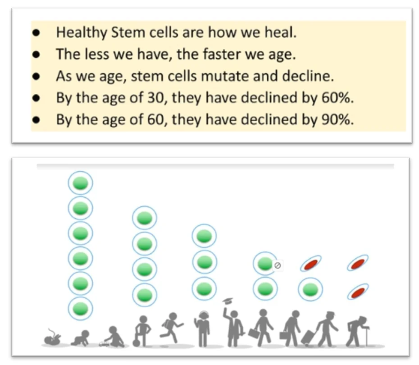 stem cells and Aging