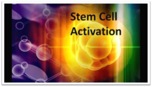 stem cell technology