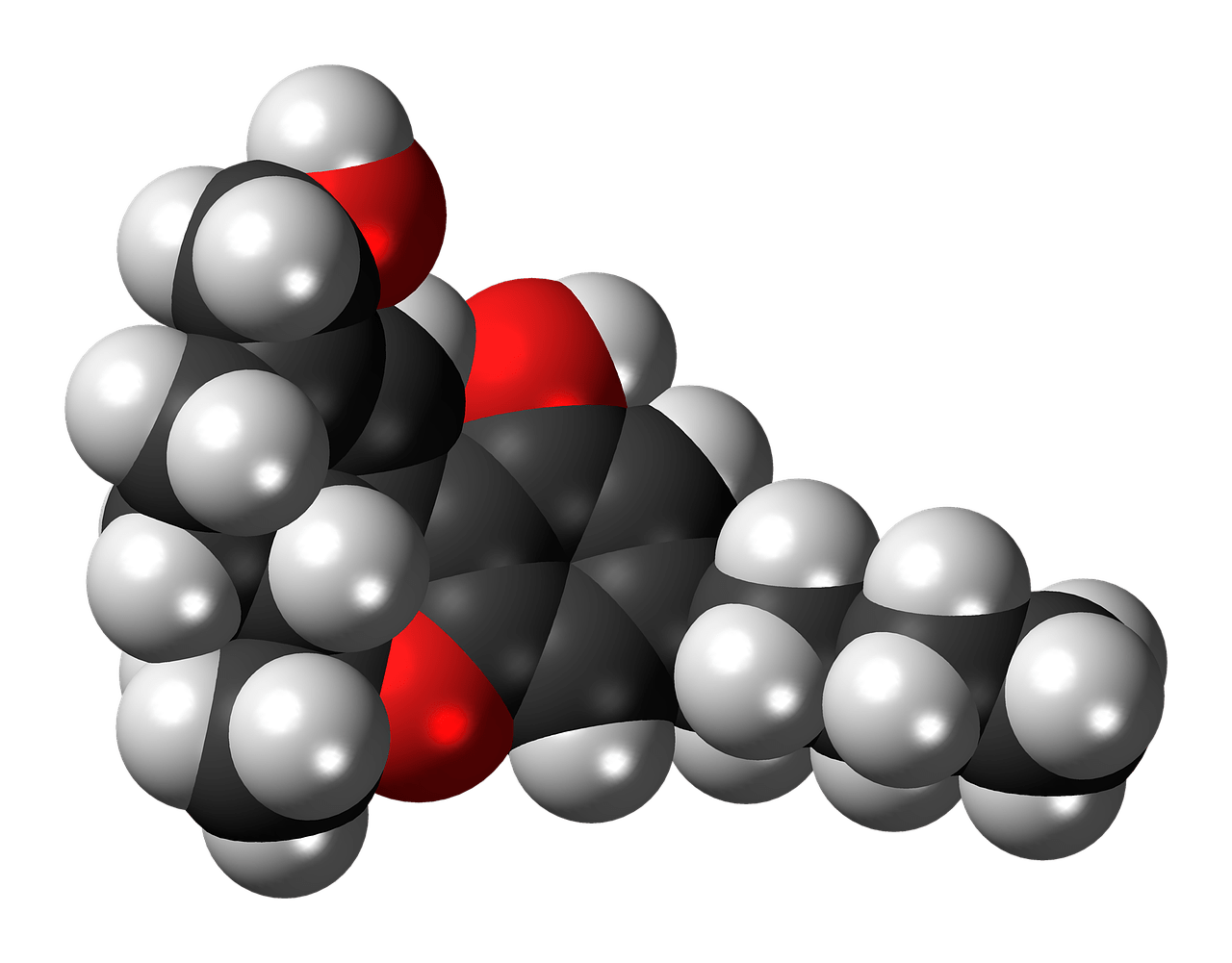 Study Links Certain Metabolites to Enhanced Stem Cell Function in the Intestine