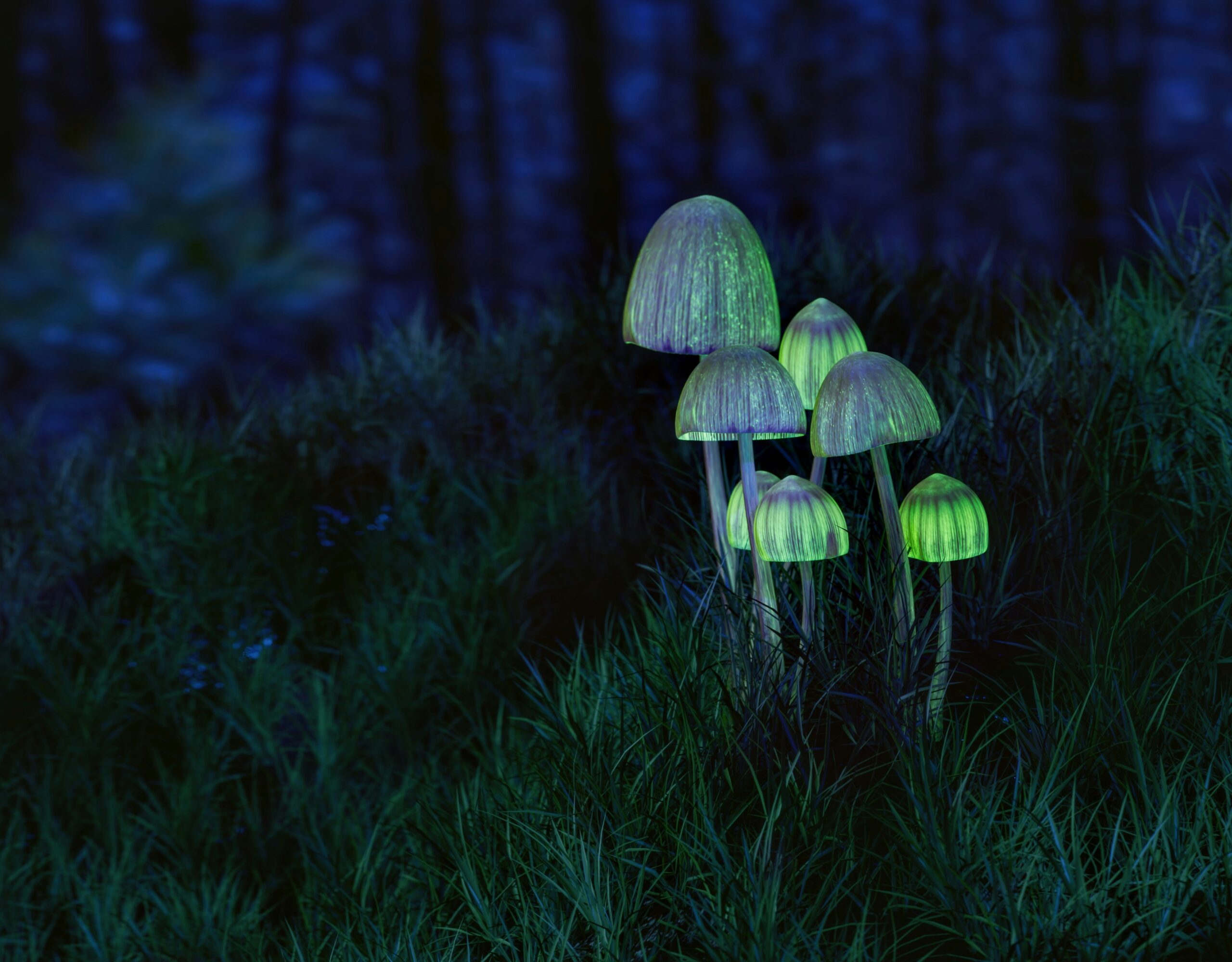 The Therapeutic Potential of Psilocybin in Mental Health Treatment